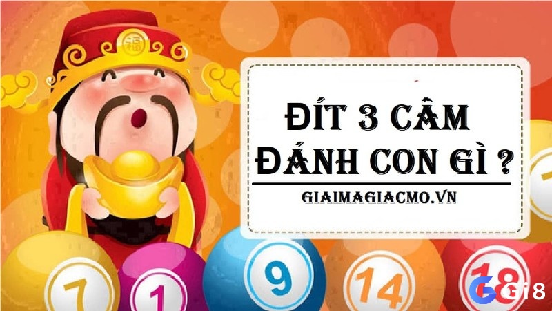 Khám phá Đít 3 câm đánh con gì cùng Gi8 nhé!