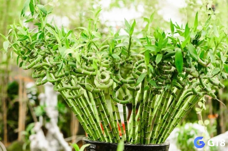 Số 16 là con số đại diện cho sự sinh sôi nảy nở, đâm chồi nảy lộc